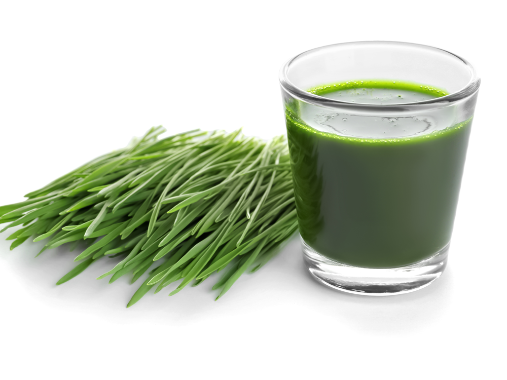 Wheatgrass
